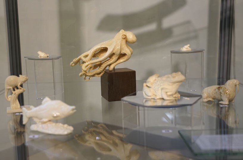 Фото: ИА "Чукотка"/ Сергей Штефан