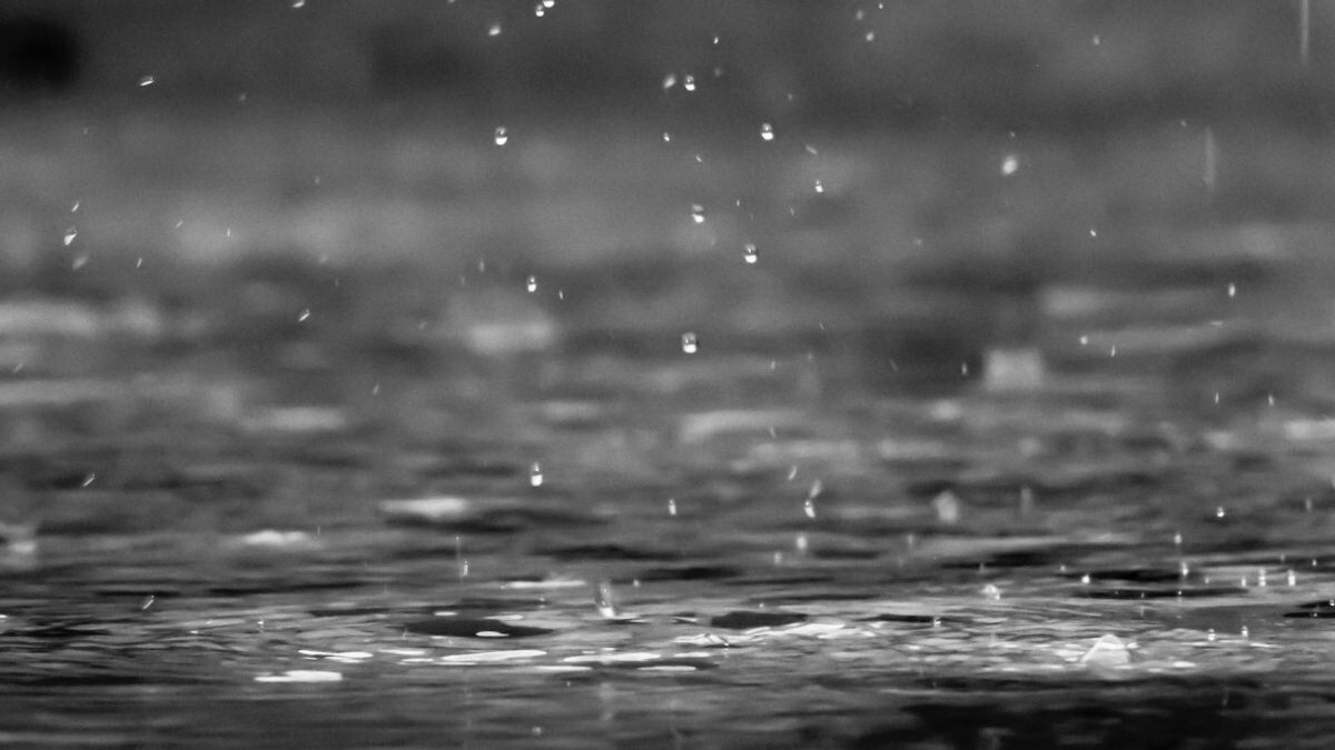    Фото: Unsplash Август Макаров