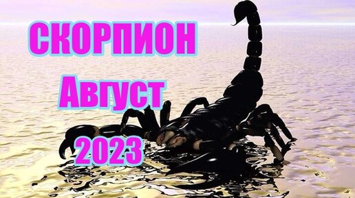 Таро скорпион август 2023. 24 Июля 2023 лунный день. Гороскоп на август 2023 Скорпион. Гороскоп Скорпион на 25 июля 2023. Гороскоп Таро на август сентябрь октябрь 2023г Лев.