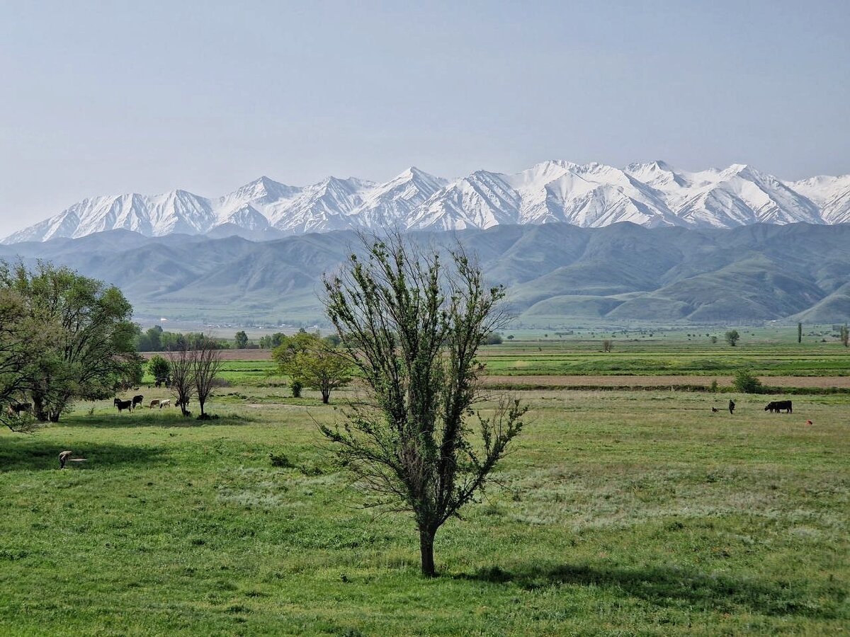 казахстан чуйская долина