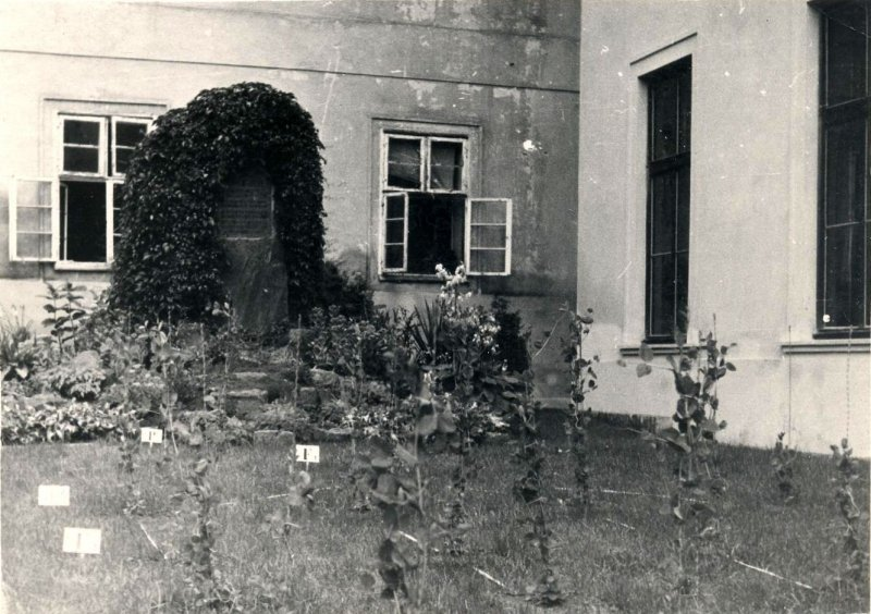 тот самый монастырский сад Фотография из фондов мемориального музея Н. И. Вавилова при Институте общей генетики РАН