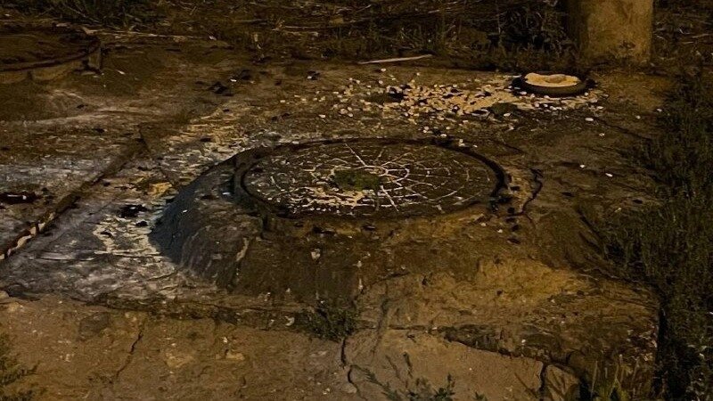     В Казани жители микрорайона Горки ужаснулись из-за увиденных больших черных тараканов. Фотография их размеров и количества появилась в Telegram-канале «Казан Да».