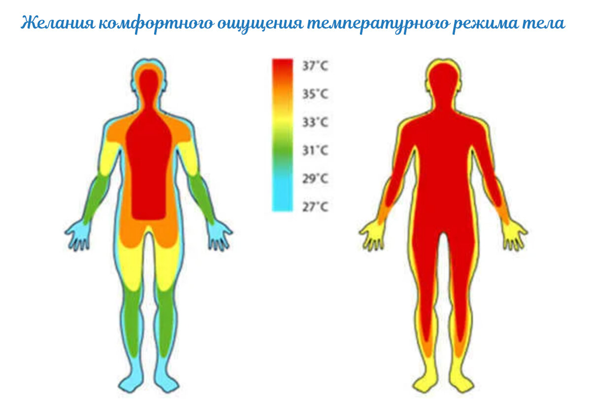 Карта организма человека