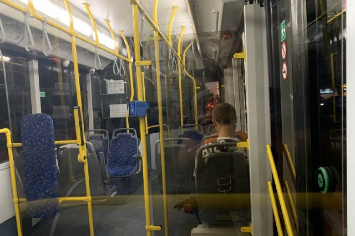    Пассажирка хабаровского автобуса сломала два ребра в ДТП