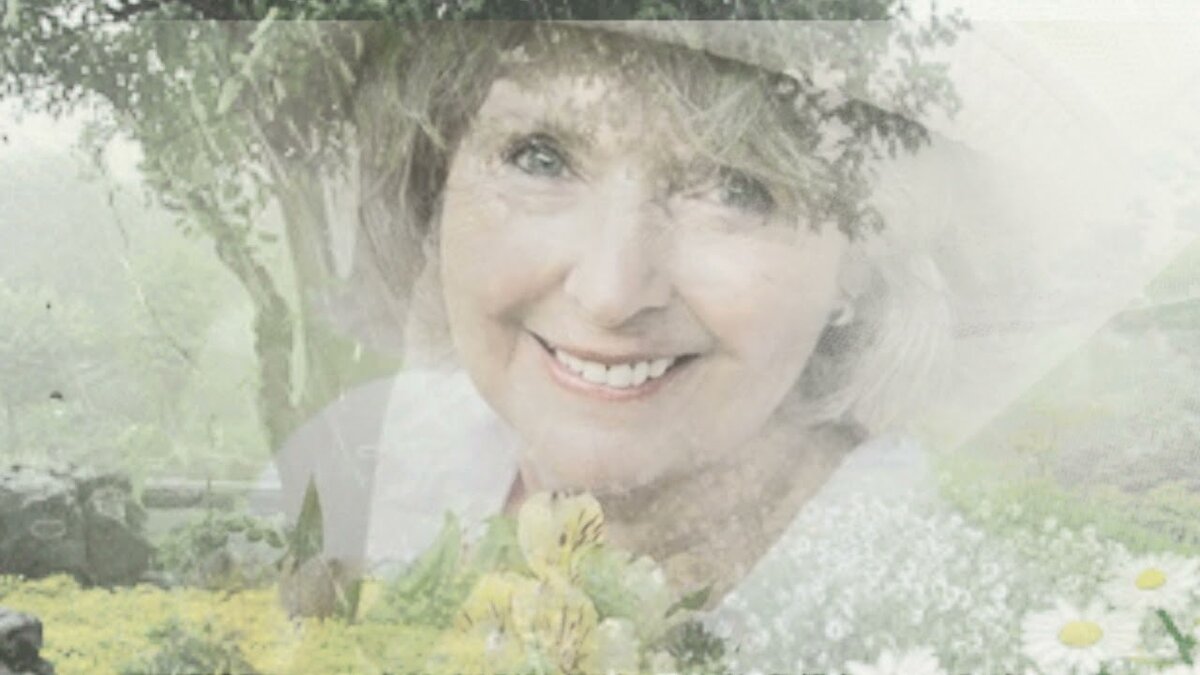 Картинка из интернета 