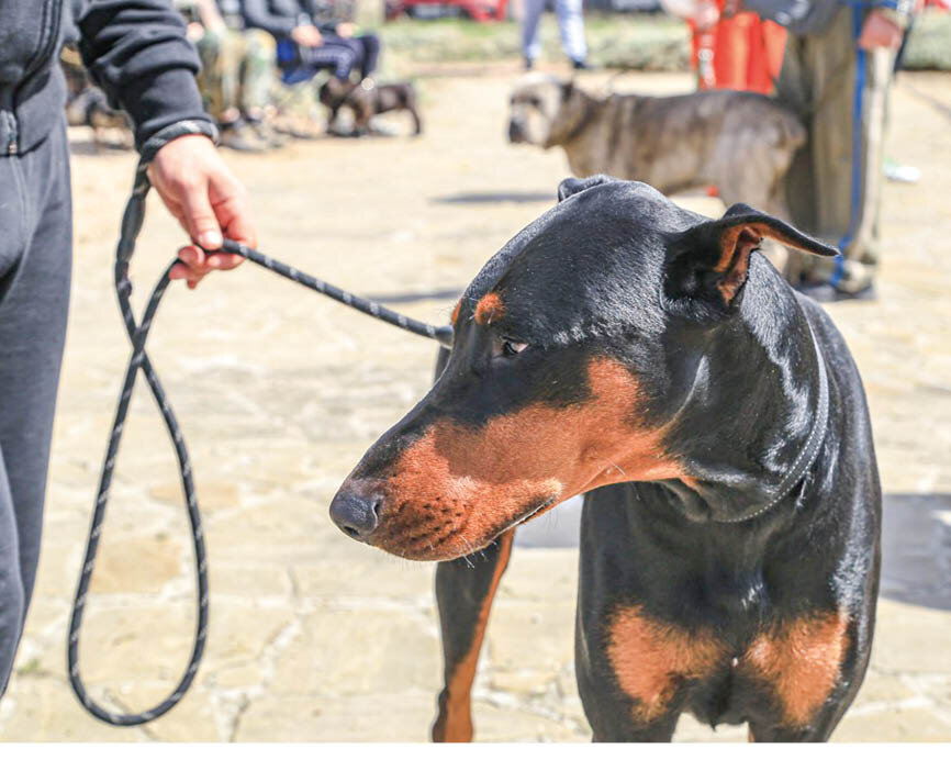 Фото: Михаил Гладчук