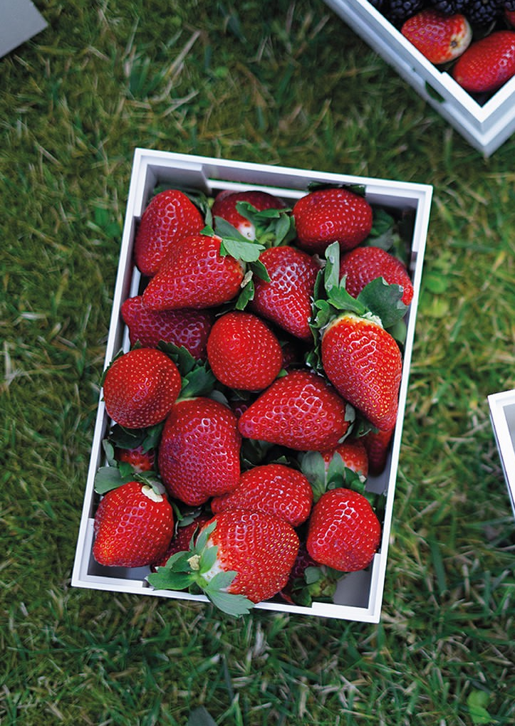 Ящик для хранения Tidy&Store от Guzzini