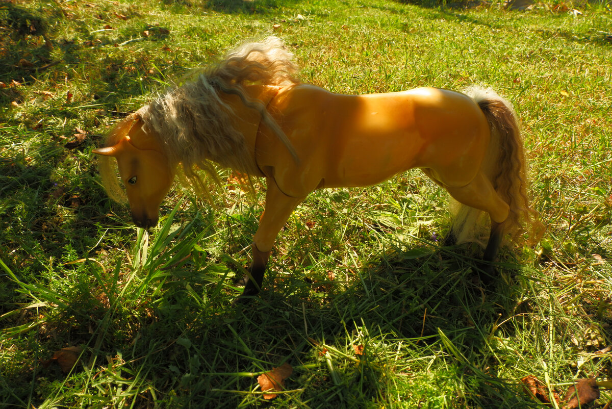 В роли Далласа Cali Girl Pacifica Horse 2004