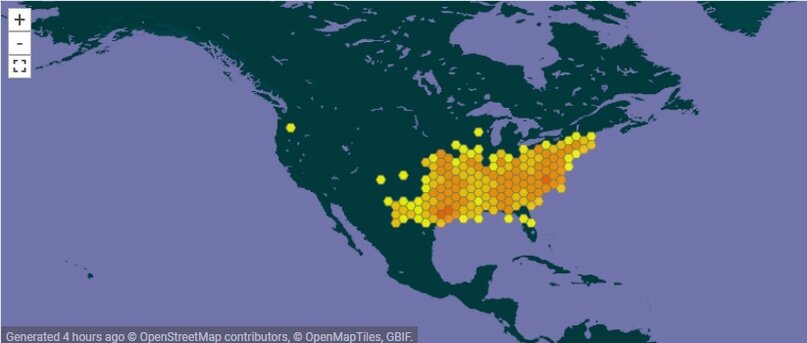 Ареал медноголового щитомордника, Agkistrodon contortrix
