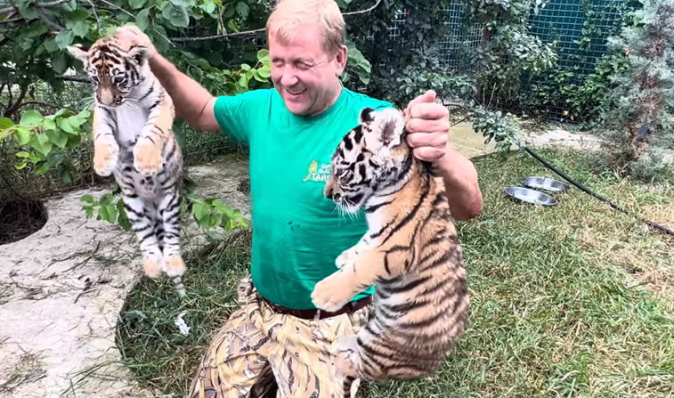 Пойман радуется. Хищные животные. Самые Хищные животные в мире. Покажи тигрицу.
