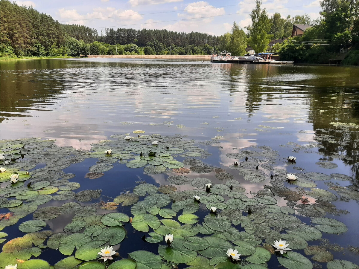 Парк-отель "Мечта", Орловский район, 07.2023 