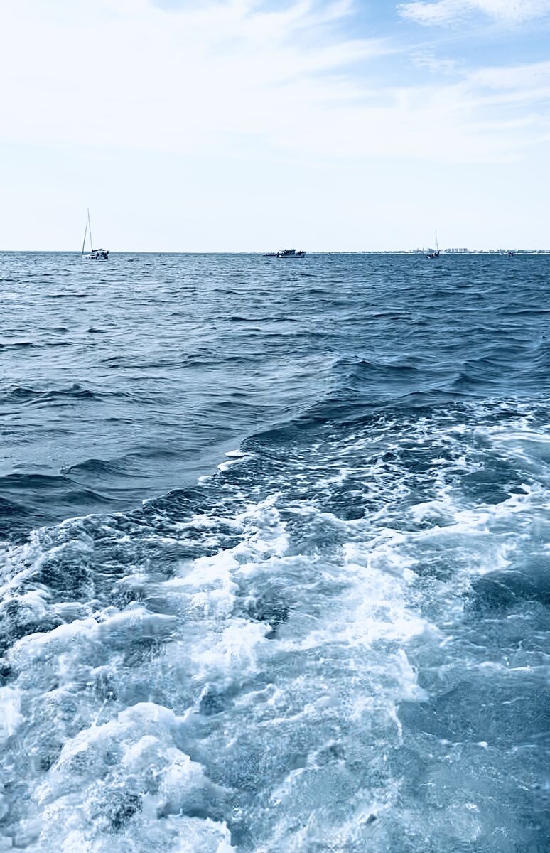 Картинка для красоты. Фото с отдыха. 