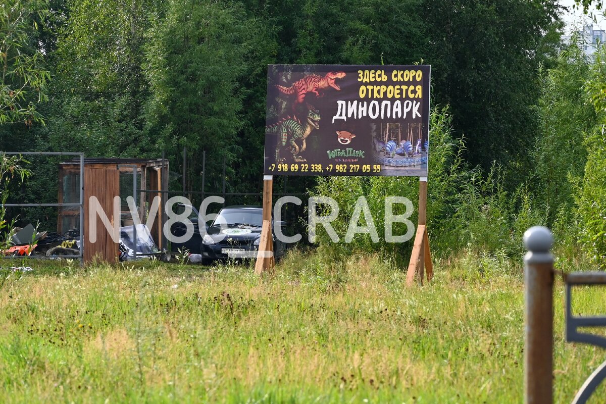    В Нижневартовске готовится к открытию парк с динозаврами