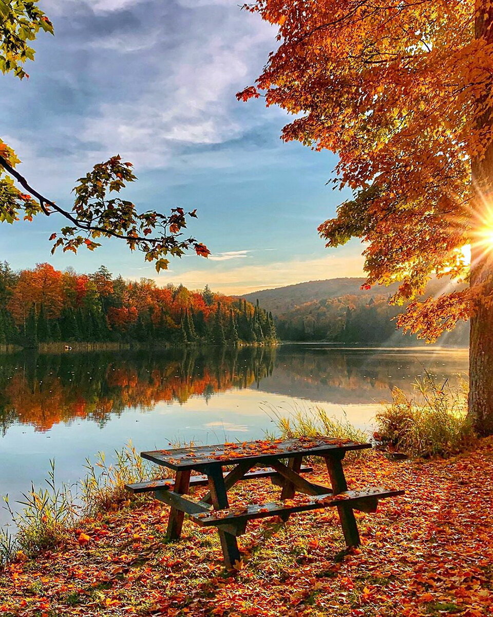 осень солнце фото красивые природа