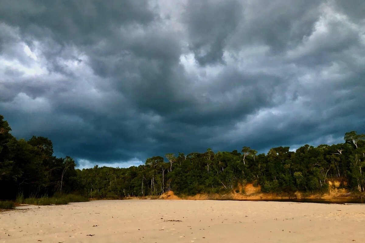 Надвигается тропический ливень.