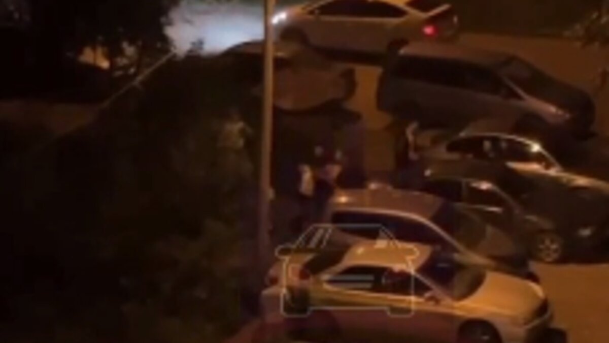    В соцсетях появилось видео драки в Советском районе Красноярска.
