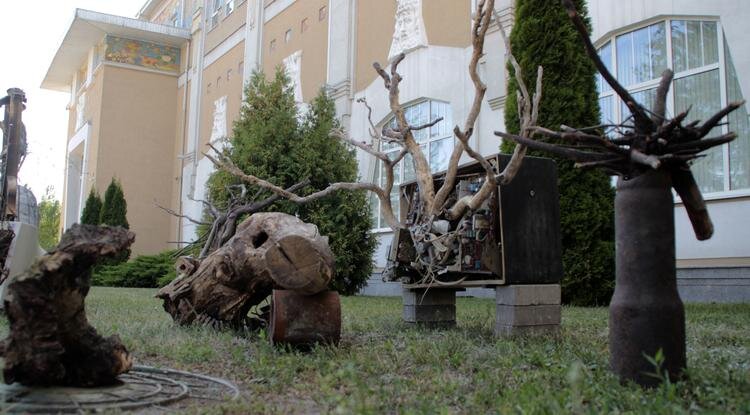 Композиция «Камо грядеши»Фото: Ирина Дудка