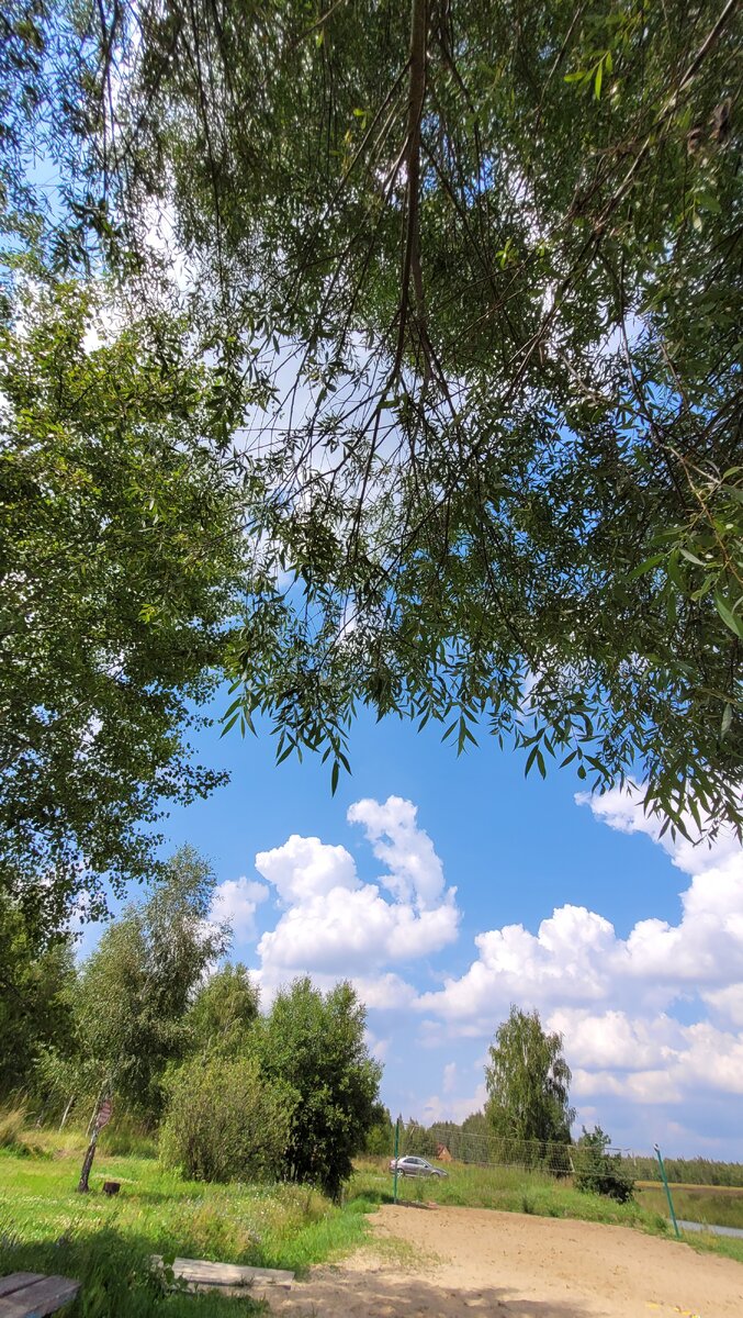 Мы на пруду. Будний день - народу мало. Позже набежало много, особенно молодёжи.