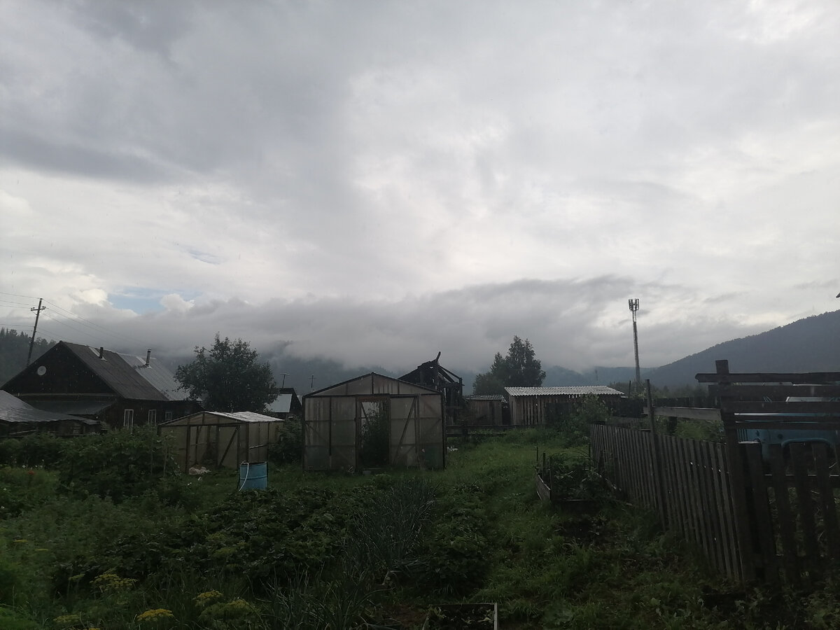 Такая вот погода