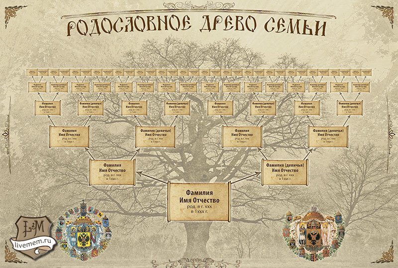 Мой родовод образец схемы на белорусском языке