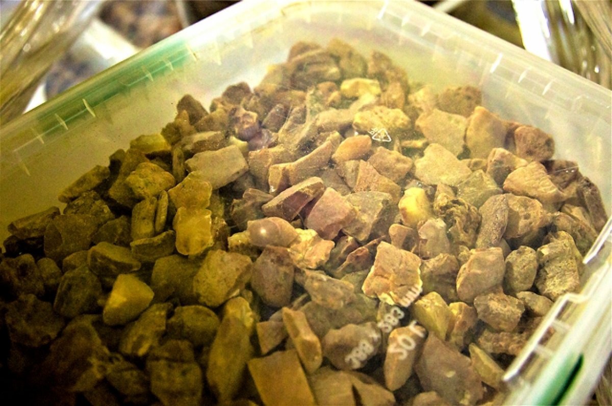    ФСБ задержала контрабандистов с 250 кг янтаря