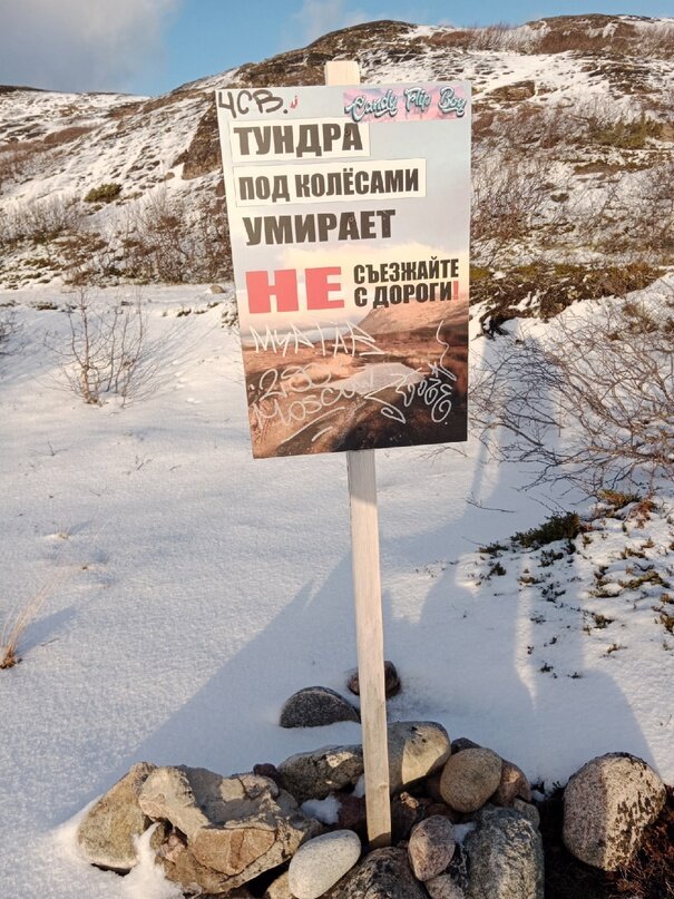 Вот тут видно. Это полный рост деревьев!