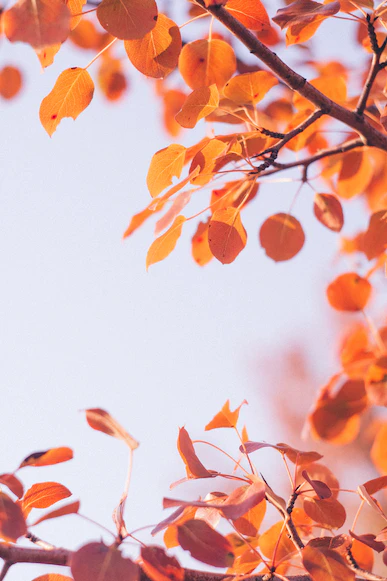 Источник: https://unsplash.com/