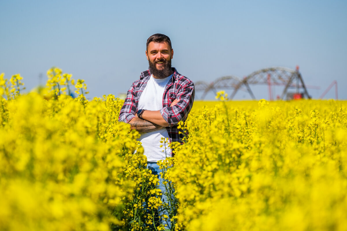 Поле август выпуск