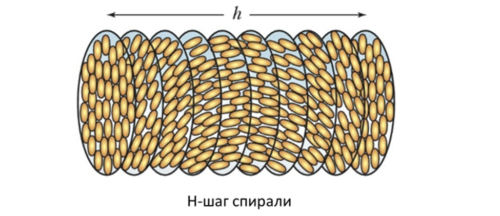 Представлена правозакрученной спиралью. Шаг спирали. Диаметр спирали днк. Шаг альфа спирали белка. Шаг спирали.
