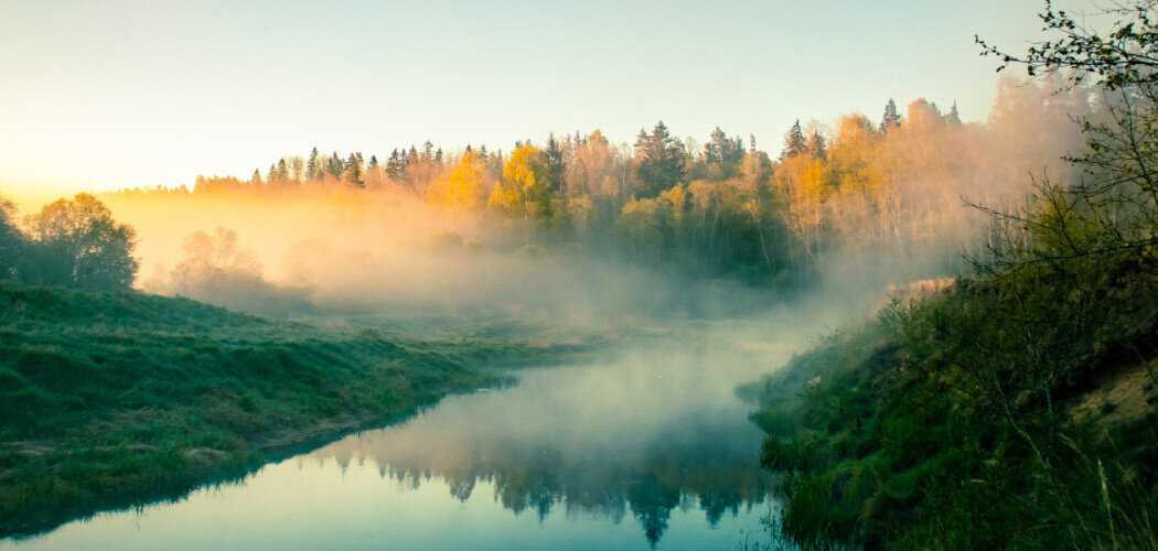 В мире насчитывается от 2,5 до 4,5 млрд рек Фото: © Ruslan Suseynov / Shutterstock / FOTODOM
