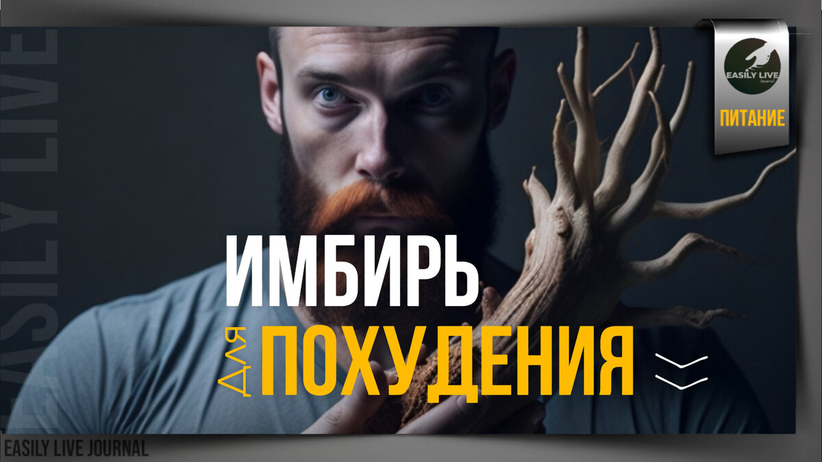 Easily live journal - Журнал о здоровом образе жизни. Интересные мысли о полезном.