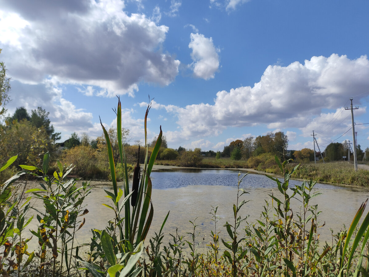 Ну ещё и пруды