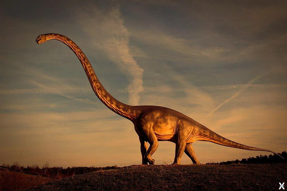Гигантский динозавр из подотряда ящероногих 11 букв
