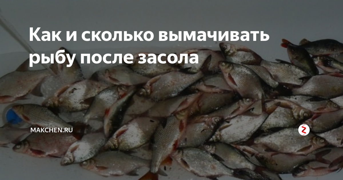 Сколько времени вымачивать. Засолка леща. Вымачивать вяления леща. Вымачивание рыбы. Сколько вымачивать рыбу