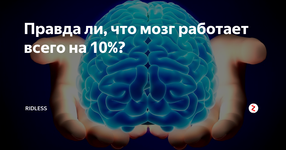 Как функционирует мозг. Правда ли, что мозг работает всего на 10%?. Мозг не работает. Мозг работай. Бабочка мозг работает.