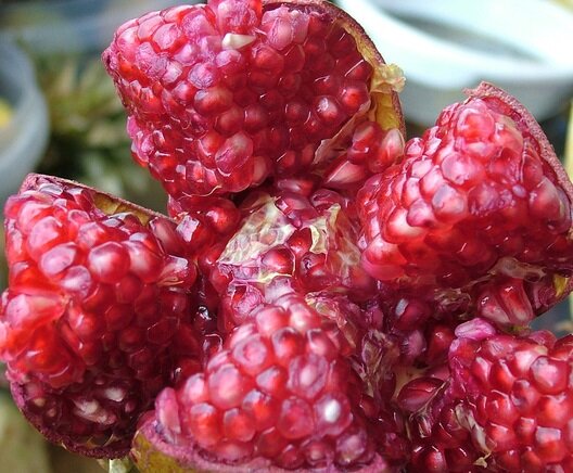 Музыкальный слух как гранат. Источник фото: https://ru.freeimages.com