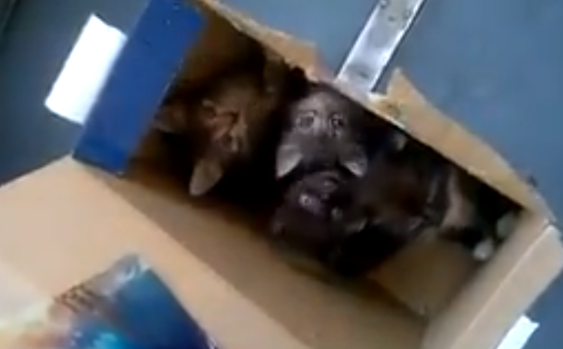 -2