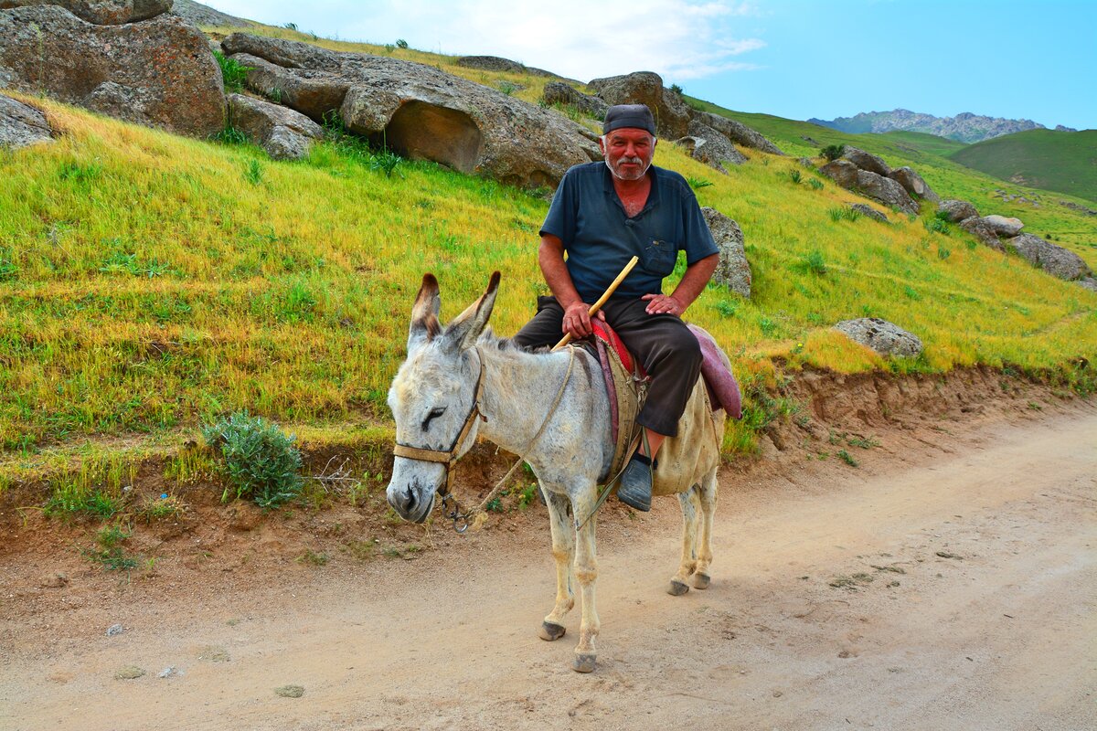 Агалык самарканд фото