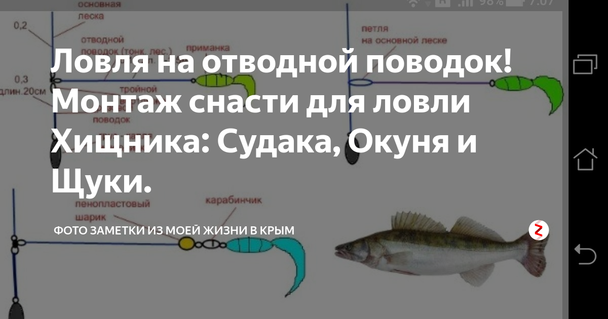 Отводной поводок для спиннинга оснастка и монтаж на судака для начинающих фото