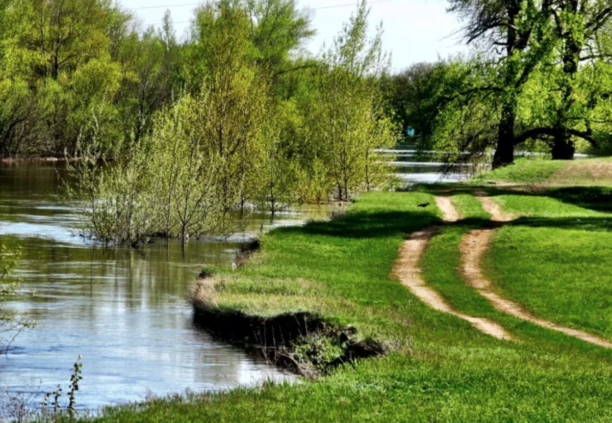 Природа мая картинки