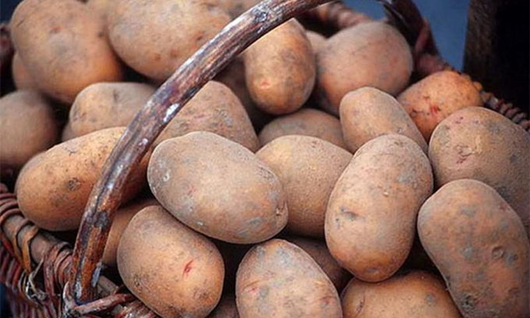 7 причин почему стоит есть картофель