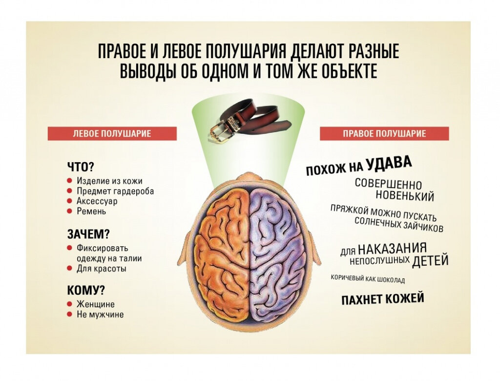 Правая и левая половина мозга. Полушария мозга девое т правое. Правое и левое полушарие мозга за что отвечают. За что отвечают полушария головного мозга человека левое и правое. Леосе и праное полушарие.