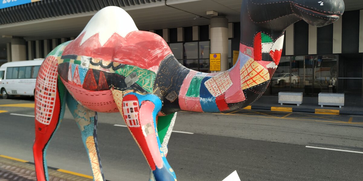 Верблюд - один из символов Бахрейна