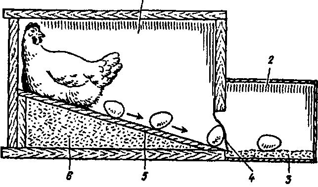Гнездо для кур несушек 3 секции с яйцесборником