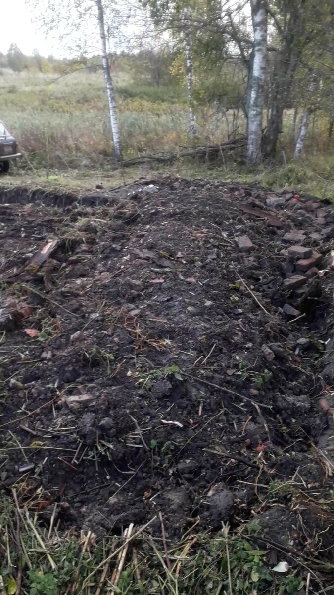 Типичное место копаря "свинороя"