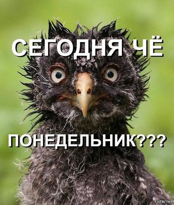 Картинка позаимствована на m.fishki.net