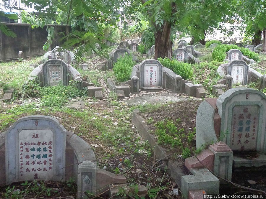 Кладбище в китае фото