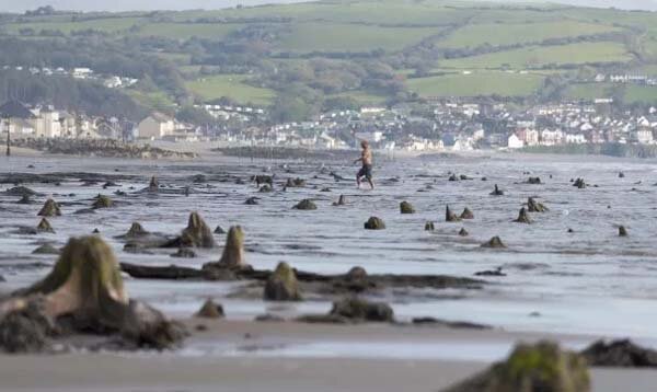 Между Бортом и Юнис-Ласом в графстве Кередигион рос густой лес.
Фото: Mysteriousuniverse