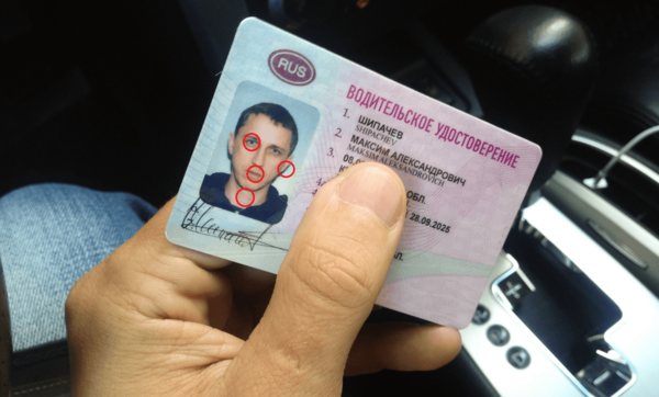 Фотография взята из яндекс-картинок