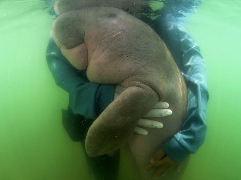 Изображение: SIRACHAI ARUNRUGSTICHAI/AFP/Getty Images 